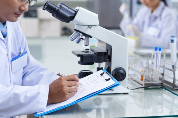 Wissenschaft